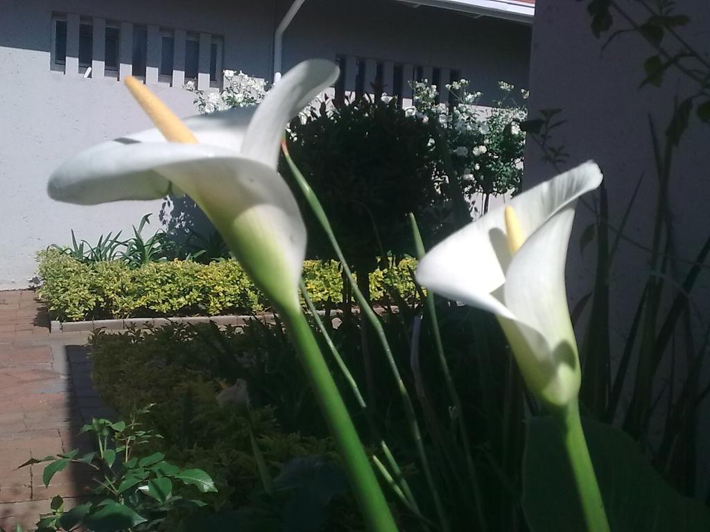 Guest house Rosebank By Claires Johannesburg