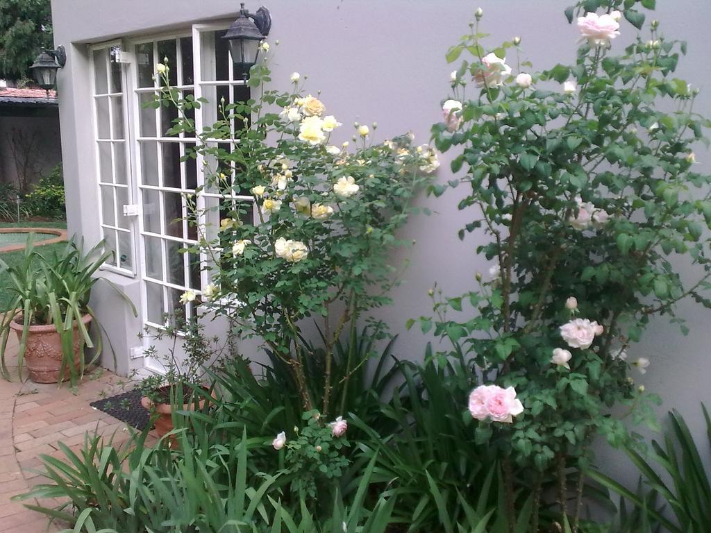 Rosebank By Claires Guest house