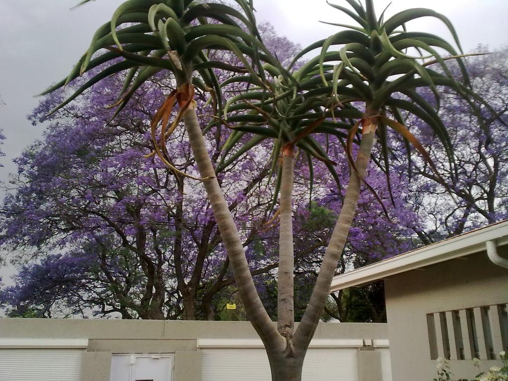 Rosebank By Claires