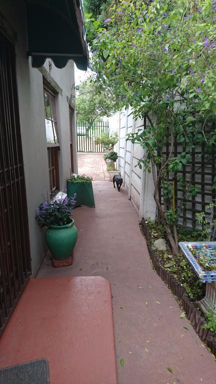 Bed & Breakfast Bio-pointment Guest Johannesburg
