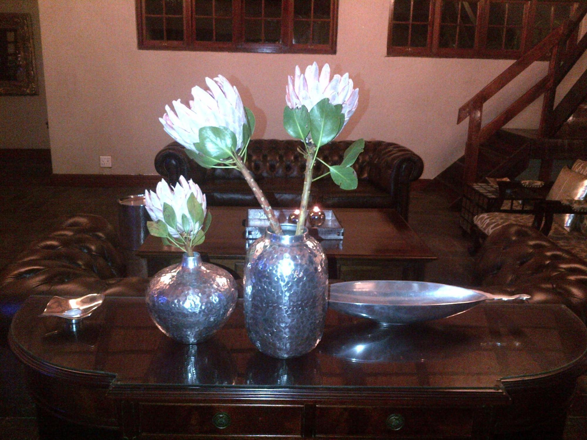 Sandton Boutique Guest house Johannesburg