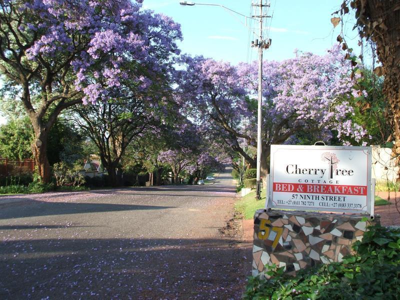 Cherry Tree Linden Bed & Breakfast 3*