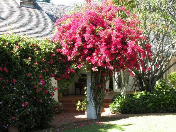 Melrose Place Boutique Guest house 4*