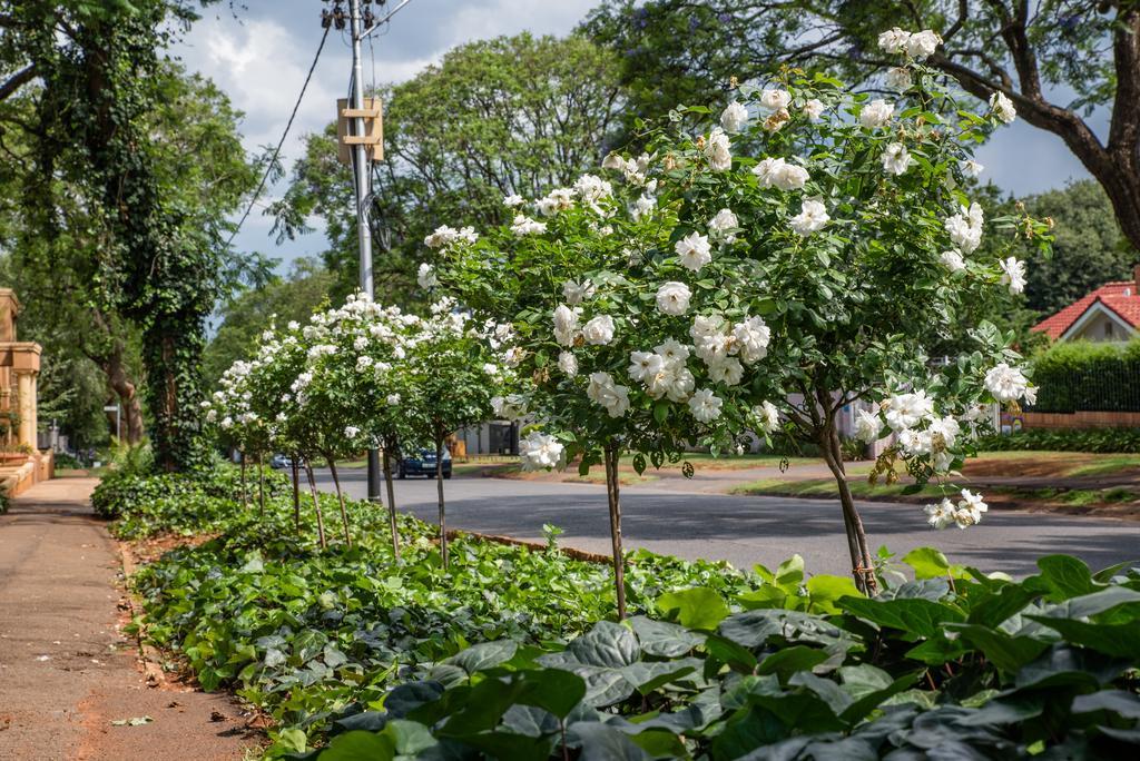 5th Avenue Gooseberry Guest house Johannesburg