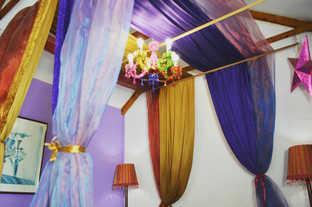 Hostel Homebase Melville Backpackers *