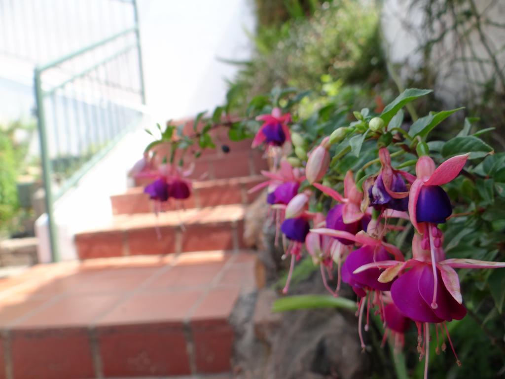 Agterplaas Pty Ltd Bed & Breakfast 3*