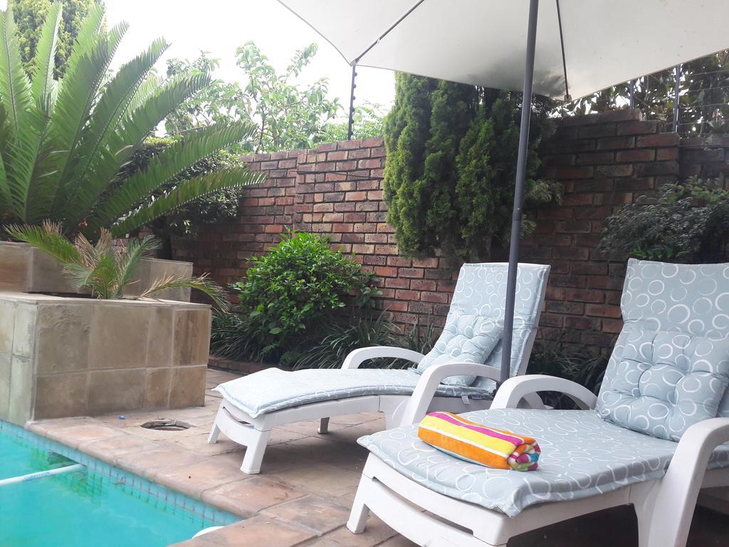 Corgi Johannesburg