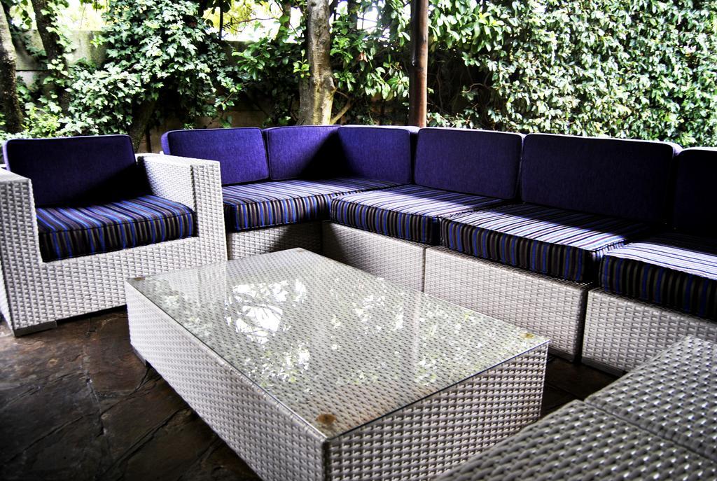 Birch Tree Bed & Breakfast Johannesburg