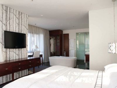 Hotel Davinci 5*