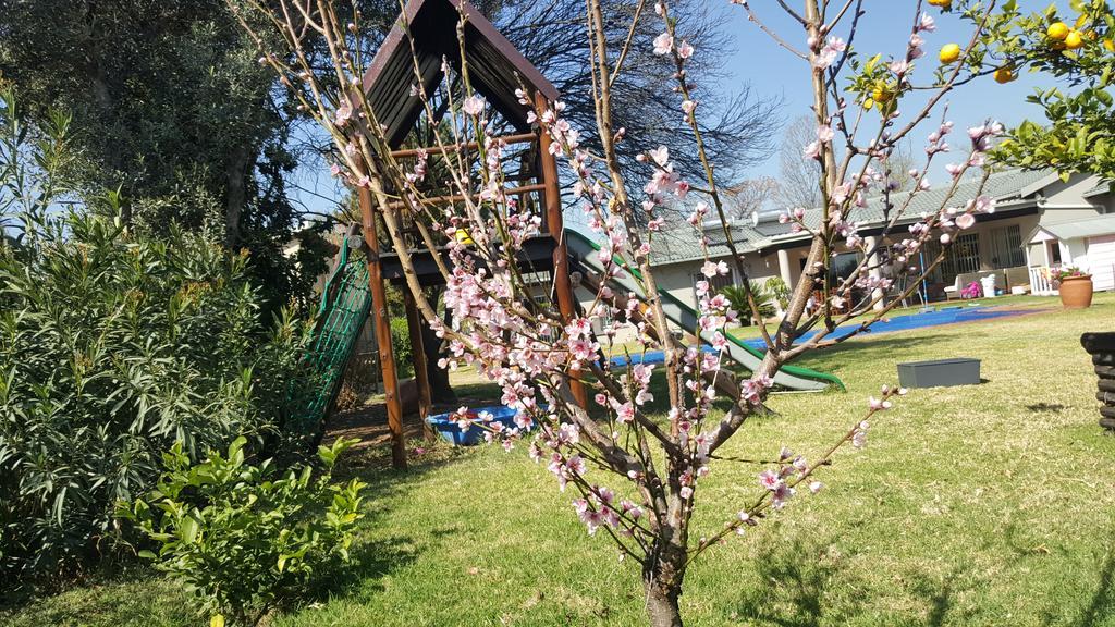 8 Ibis Lane Guest house Johannesburg
