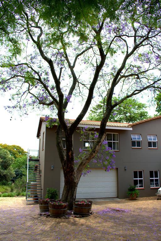 Bed & Breakfast Wild Olive Executive