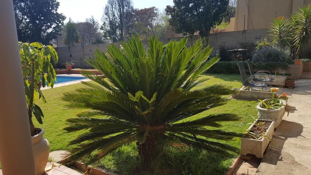 8 Ibis Lane Guest house 3*