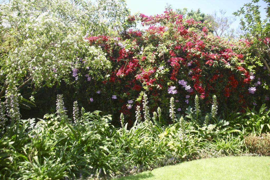 Melville Manor Guest house