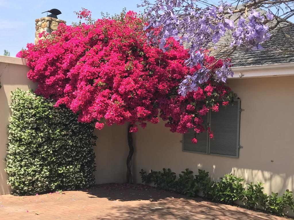 The Parkwood 5* Johannesburg