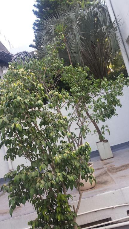 Rosebank 2*
