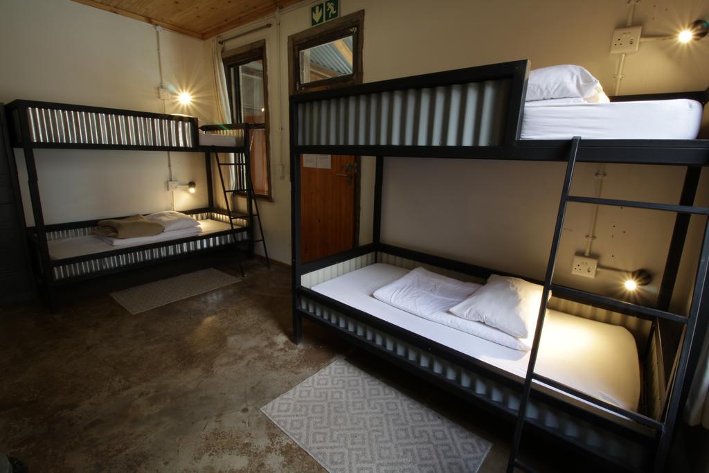Curiocity Backpackers Albergue *