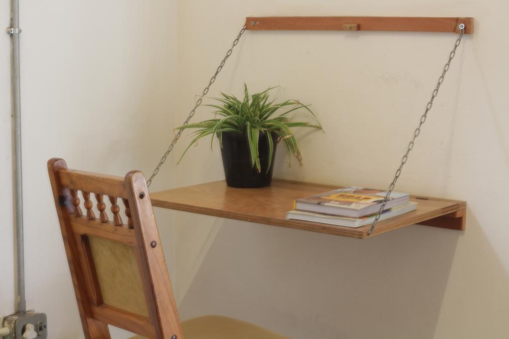 Curiocity Backpackers Hostel *