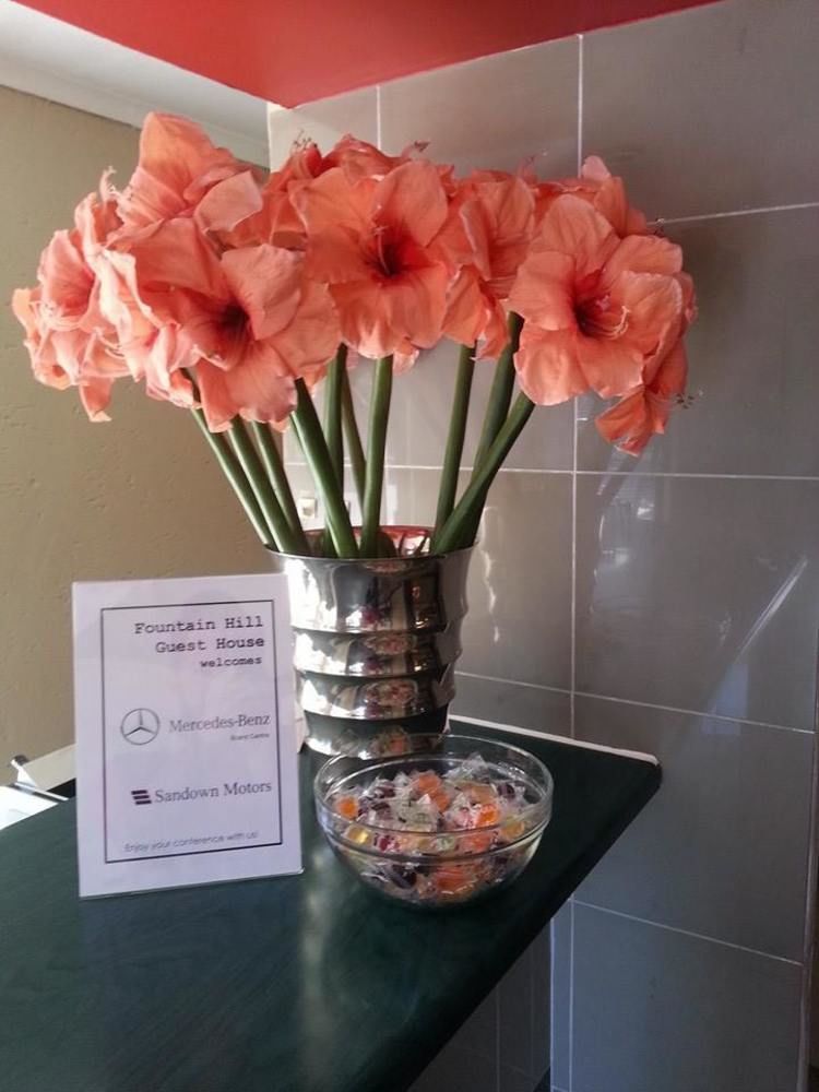 Fountain Hill Guest house Johannesburg