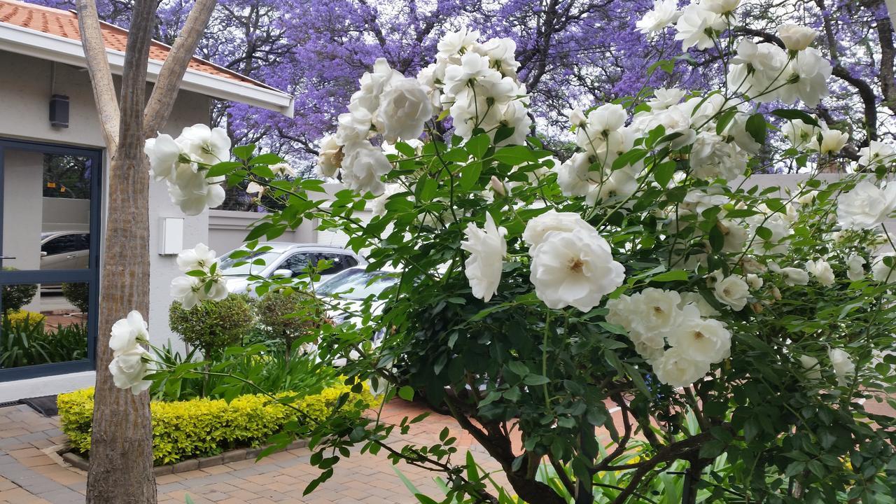 Rosebank By Claires