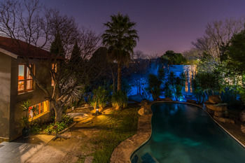 Moonflower * Johannesburg