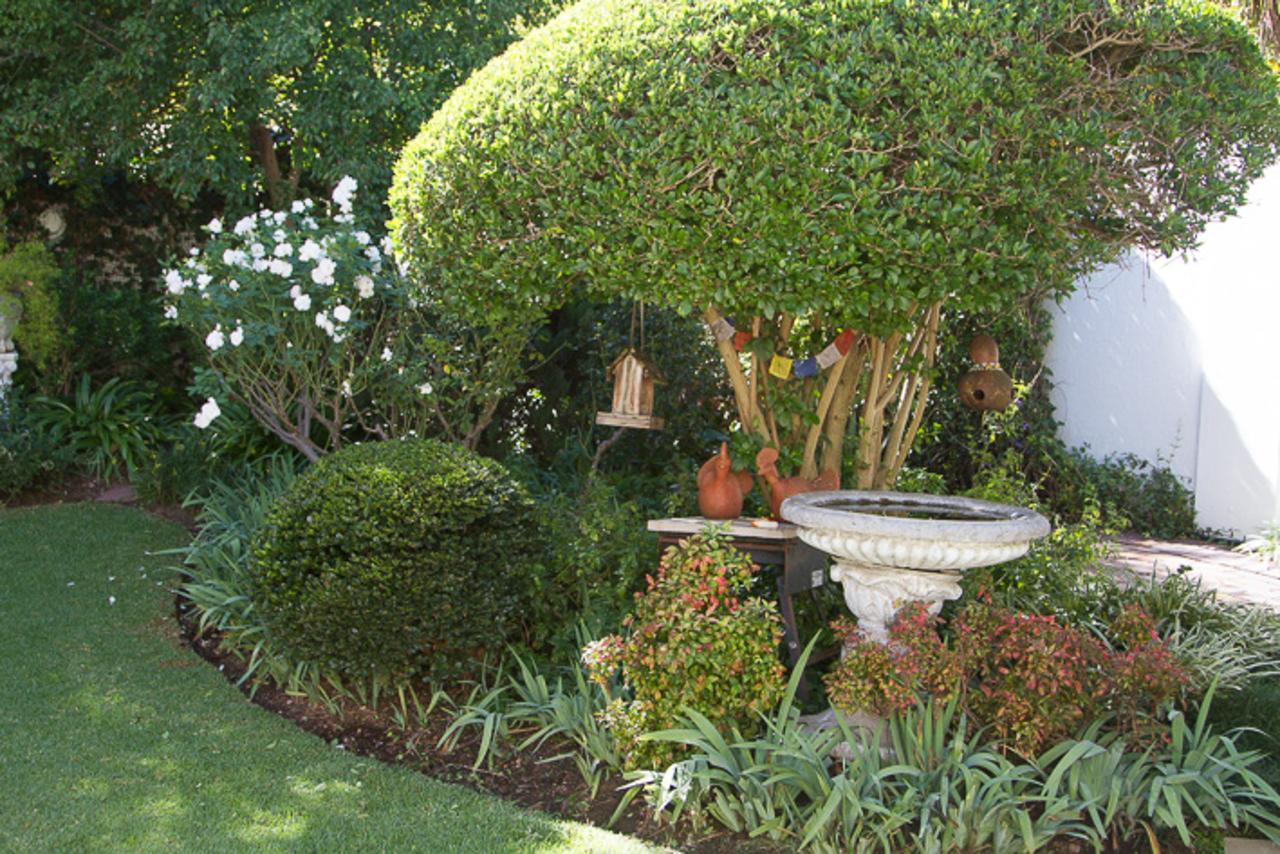 Rutland * Johannesburg