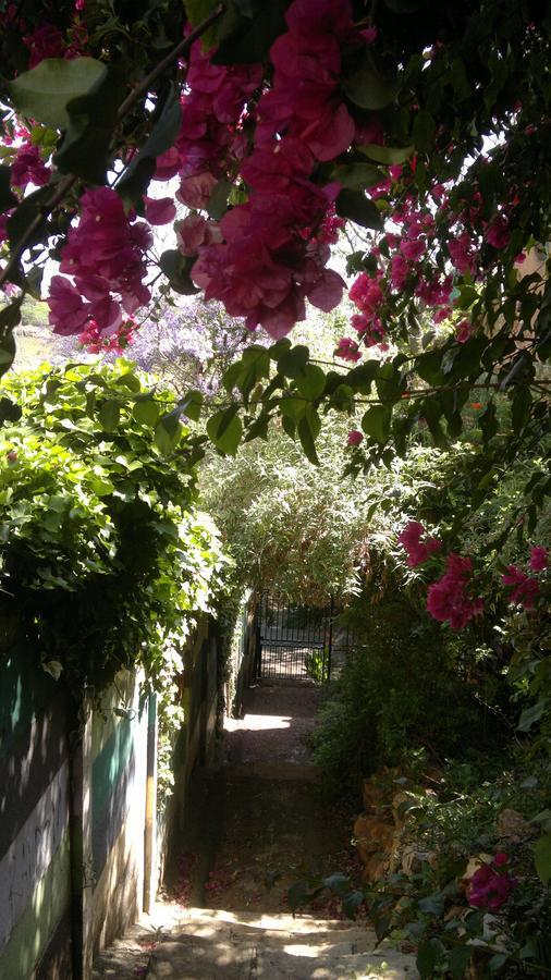 Agterplaas Pty Ltd Bed & Breakfast 3*