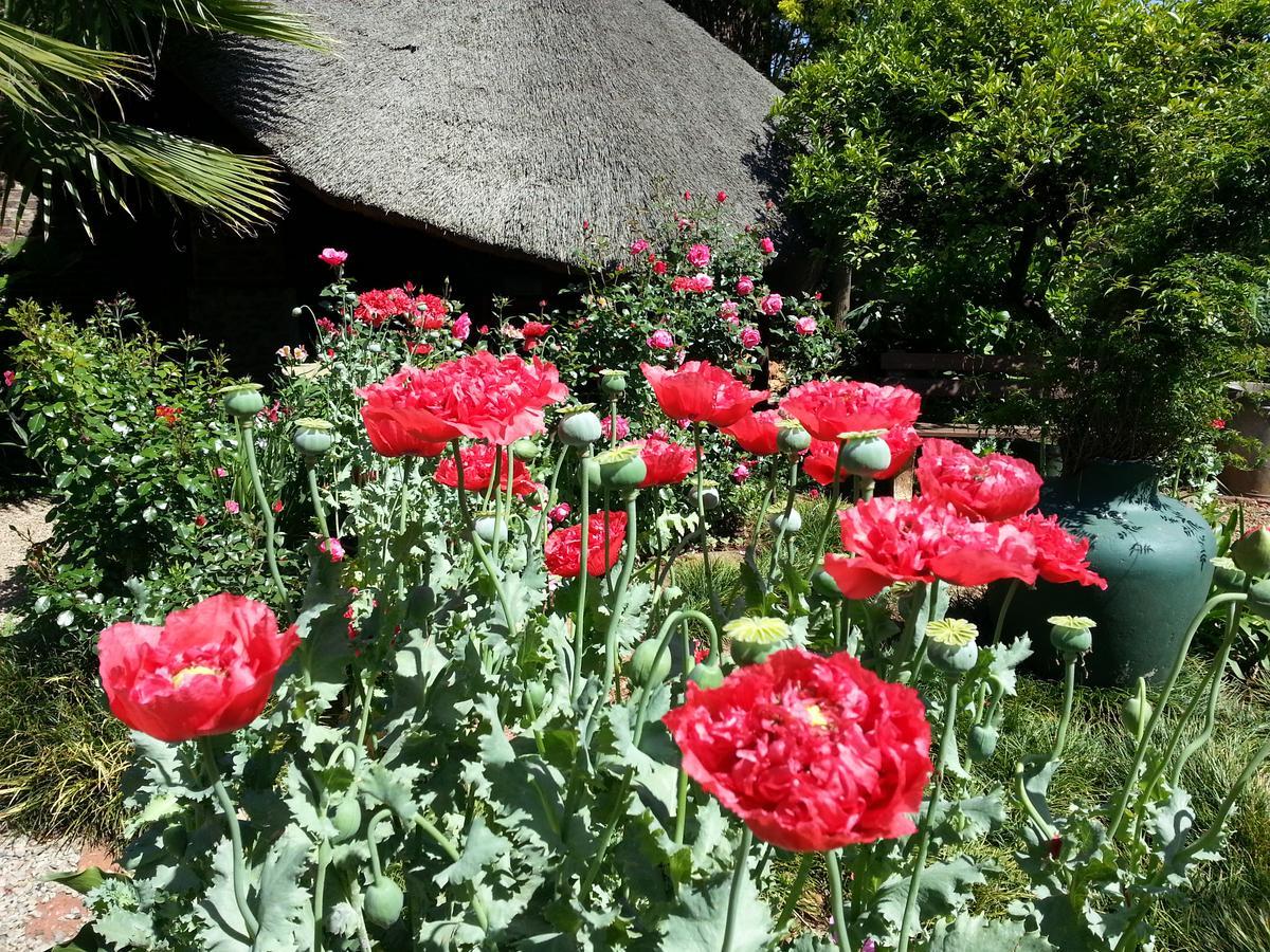 Agterplaas Pty Ltd Bed & Breakfast 3*