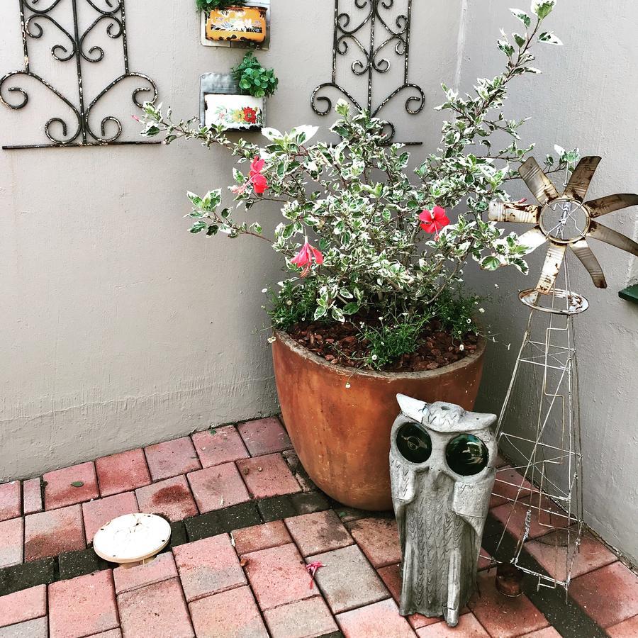 Bed & Breakfast Blu Trea