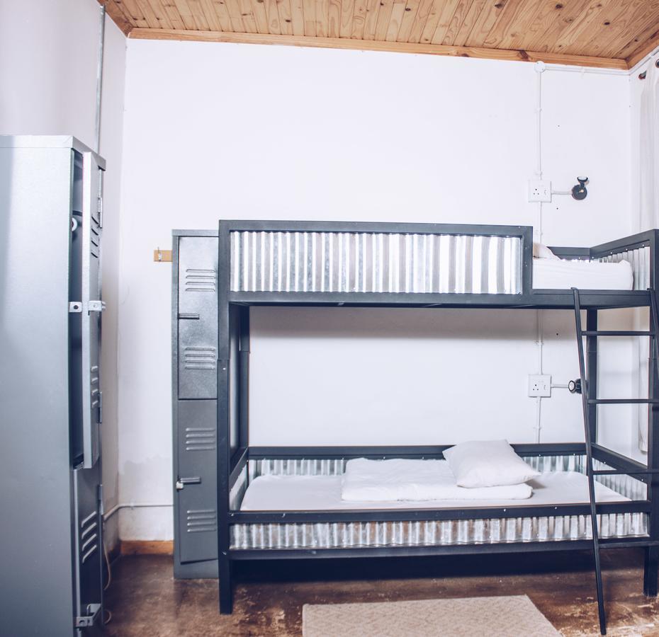 Curiocity Backpackers Hostel *