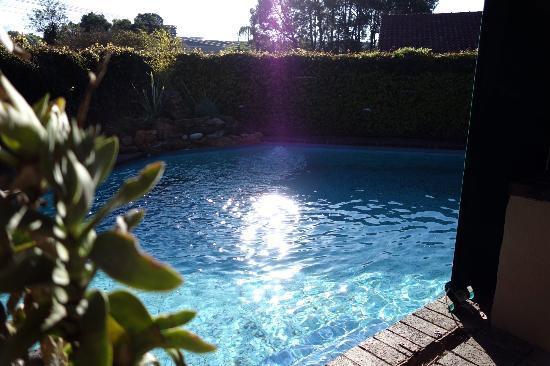 Charlie'S Spot - The Gardens Guest house Johannesburg