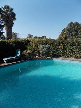 Charlie'S Spot - The Gardens Johannesburg