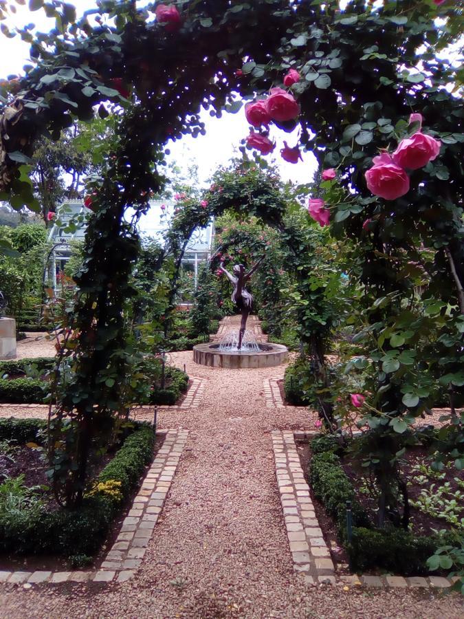 Bed & Breakfast Doveton House Johannesburg