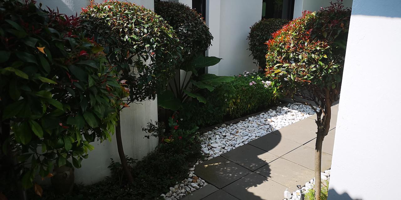 21 Kingfisher Guest house Johannesburg