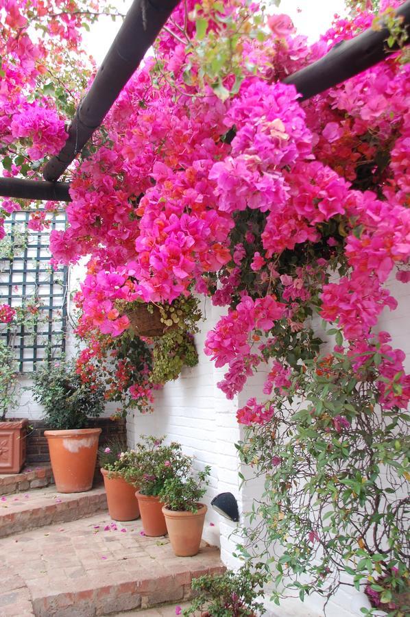 Rivonia Premier Bed & Breakfast 4*