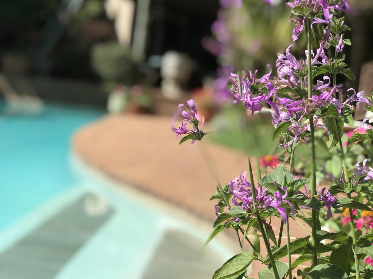 Guest house Claires Of Sandton Luxury
