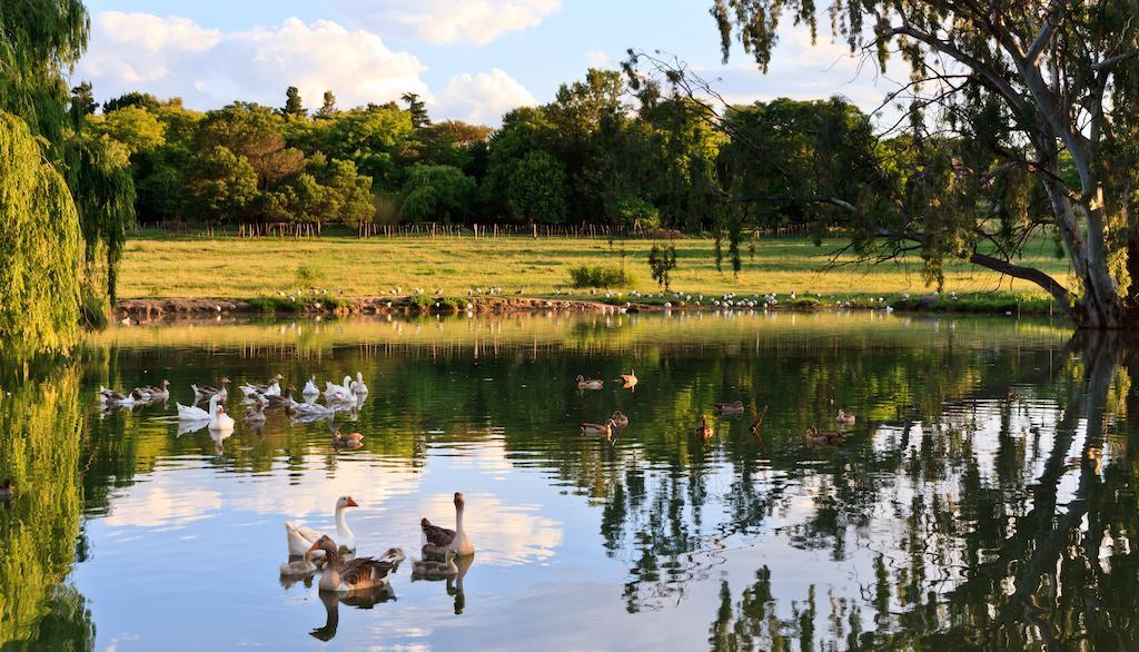 Zulu Nyala Country Manor