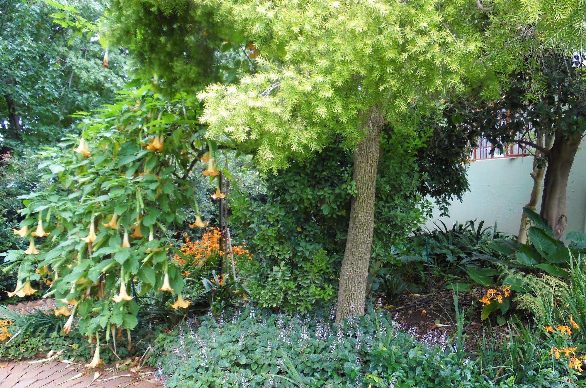 Blackheath Manor Apartment *