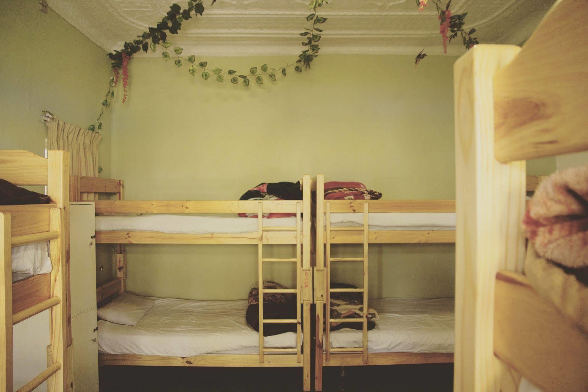 Homebase Melville Backpackers
