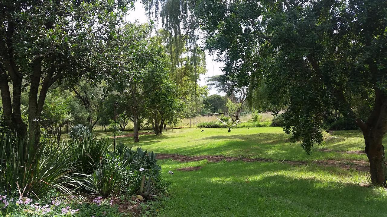 Amberhall 4*