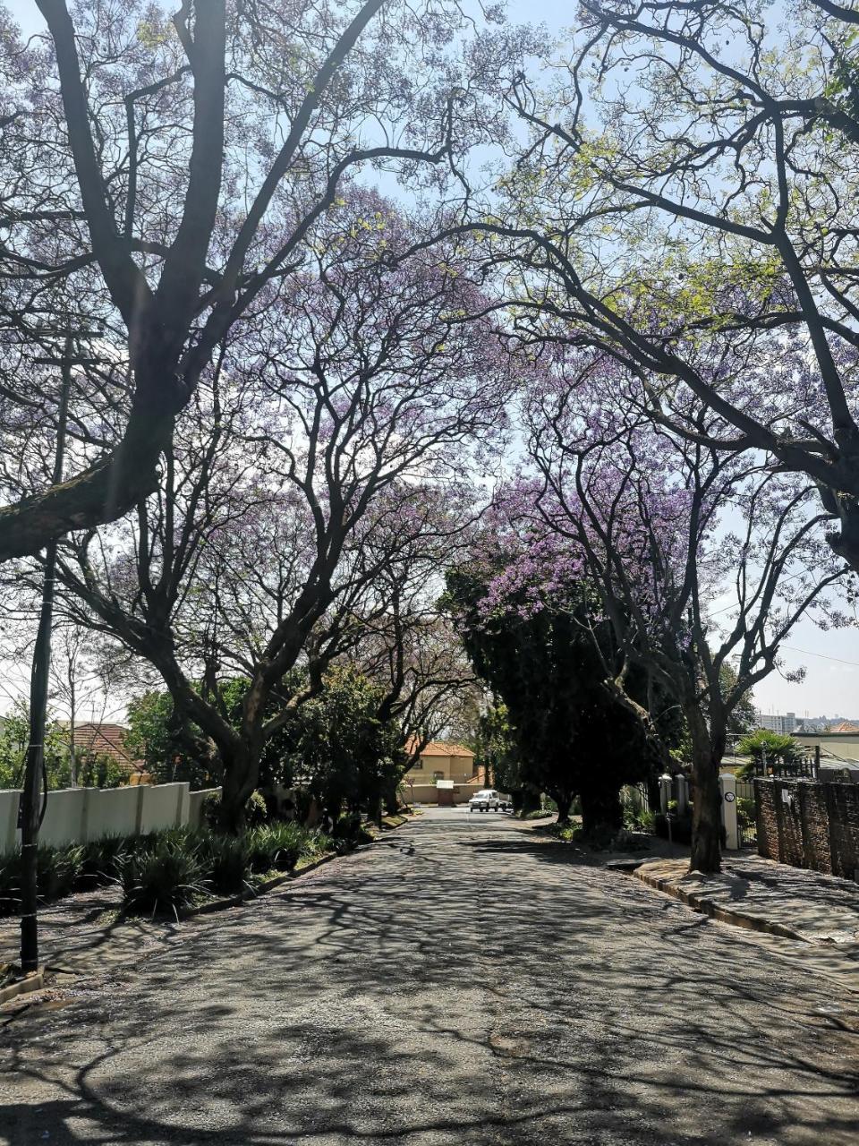 Apartment The Secret Garden Johannesburg