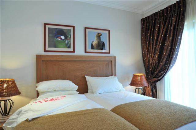 Hoyohoyo Chartwell Hotel Johannesburg