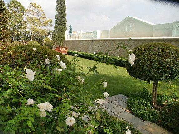 54 On Bath, Rosebank