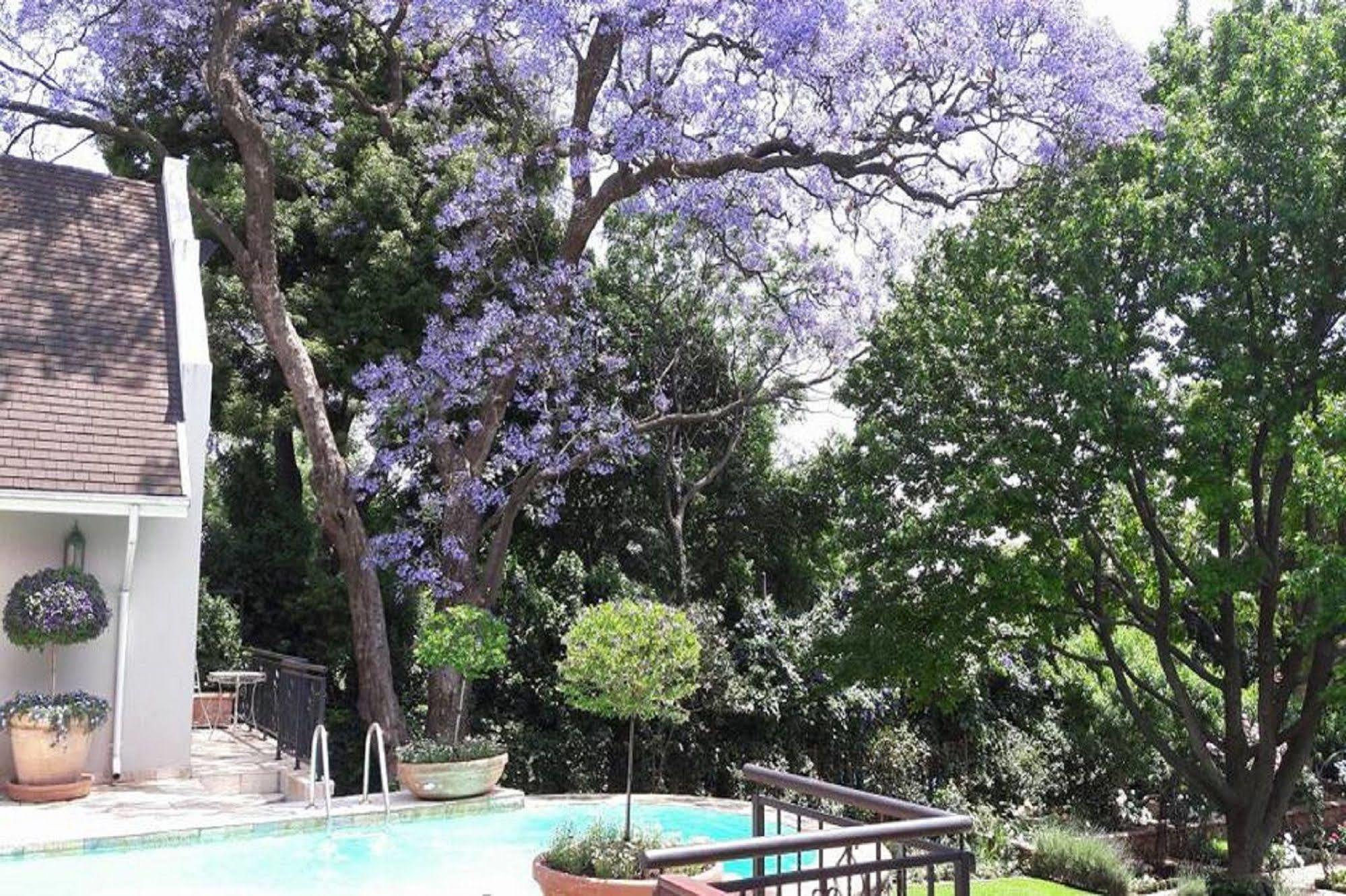 Doveton House Bed & Breakfast