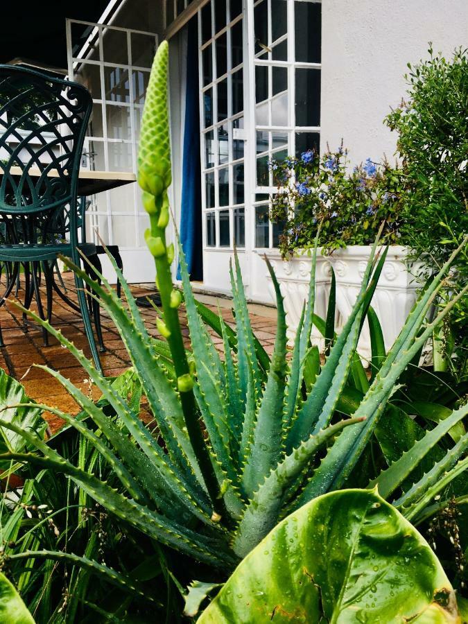 Melville Manor Guest house