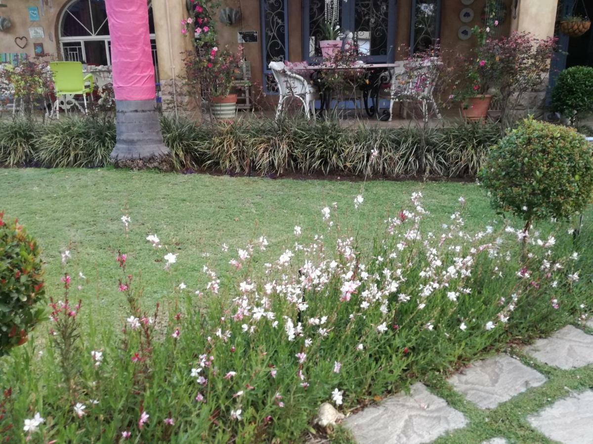 Lily Bees Homestay *