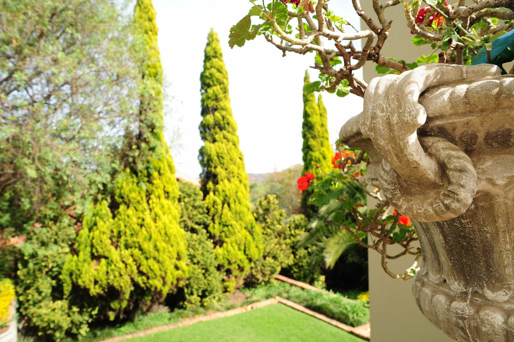 Lugano Guest house Johannesburg