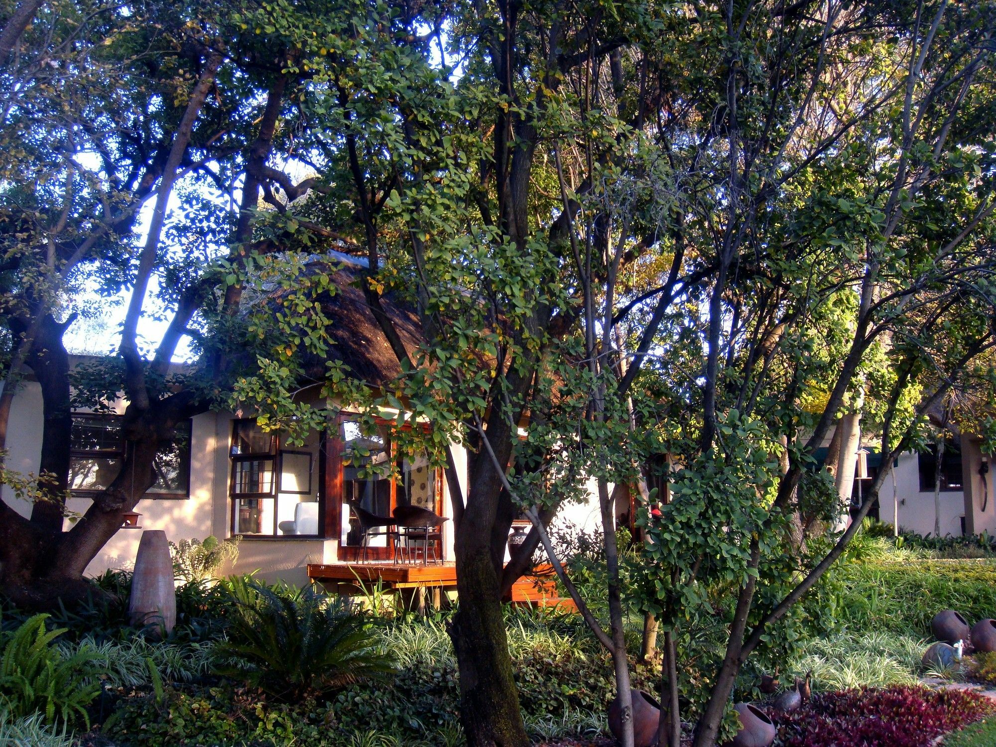 Lourie Johannesburg
