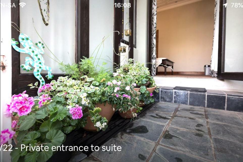 Forest Haven Apartment