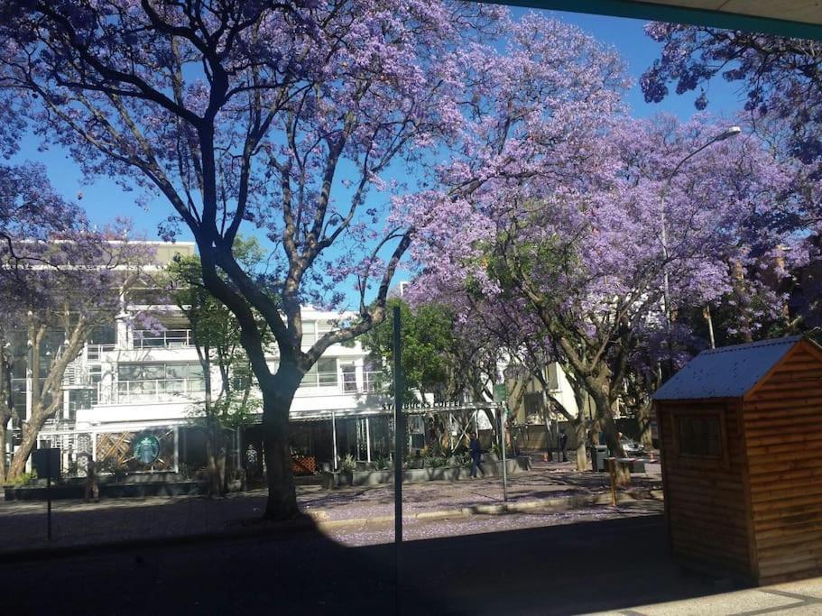 The Rosebank Apartment