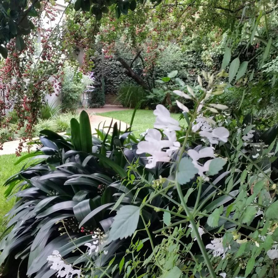 Guest house Rosebank By Claires Johannesburg